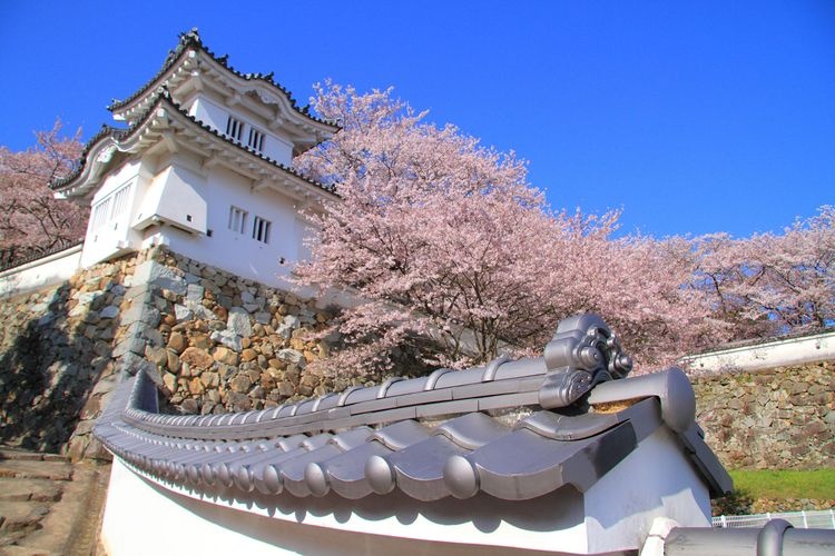 龍野城 7