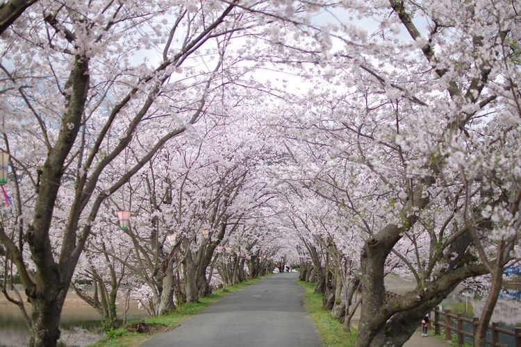 Tataoka Shizen Koen
