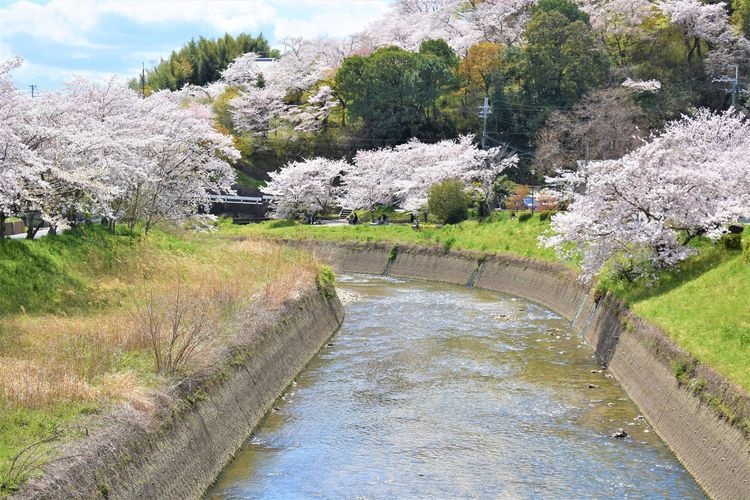 สวนสาธารณะทัตสึตะ (Tatsuta Park)