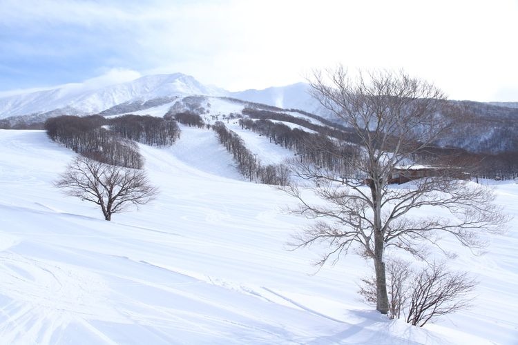 Tazawako Ski Resort 3