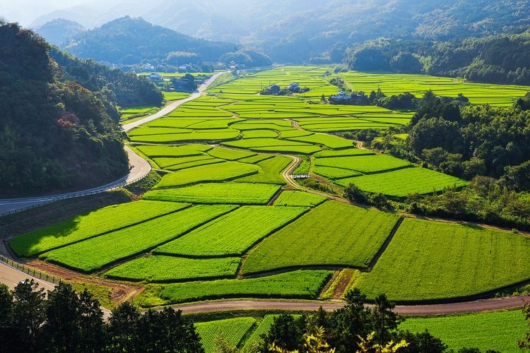 ทัศนียภาพชนบท Tazomiso-ozaki 3