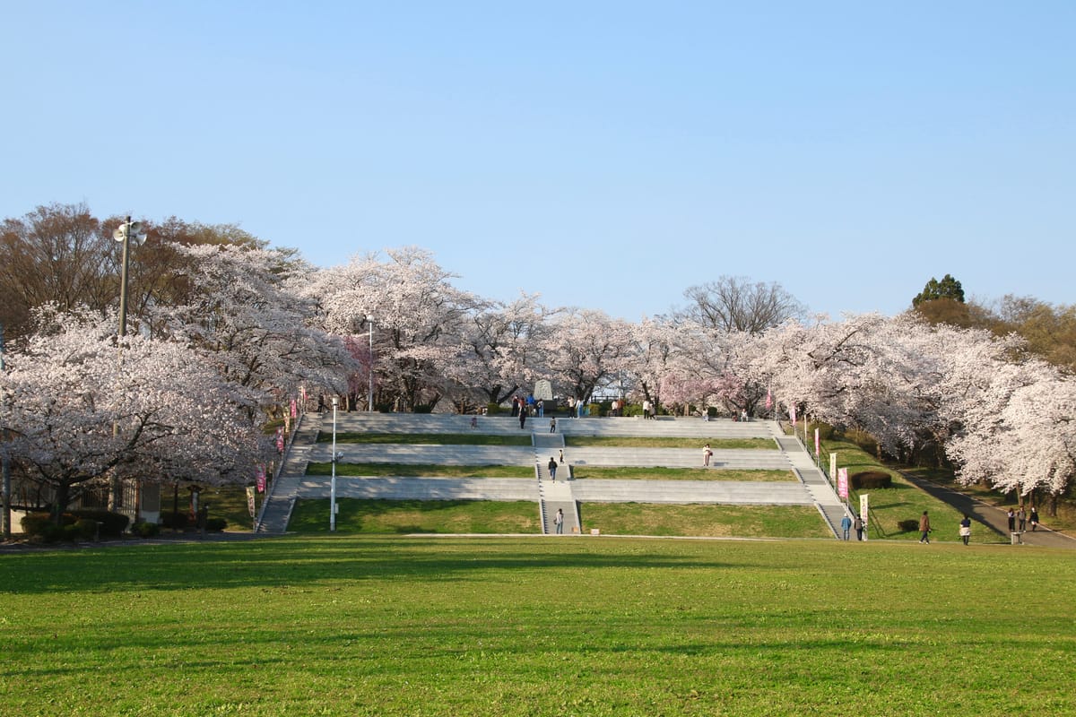 天童公園 (舞鶴山)