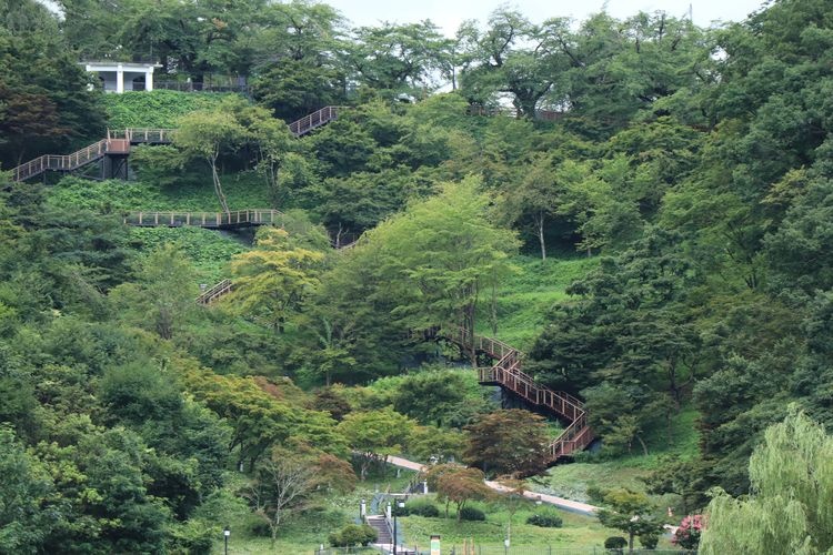Tendo Park