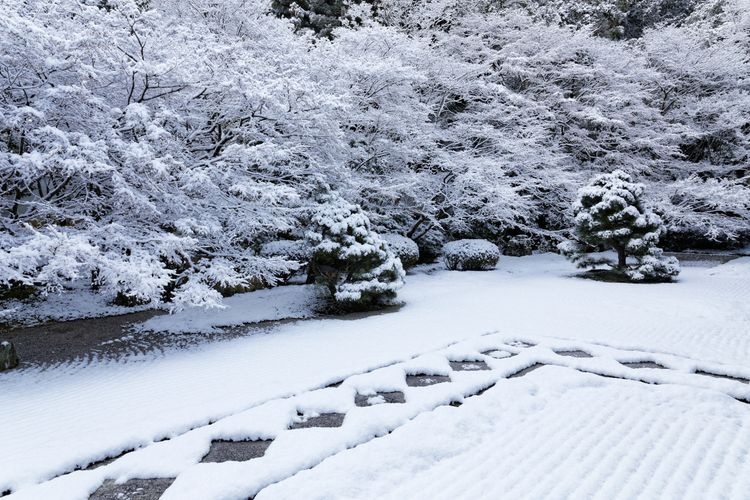 天授庵 2