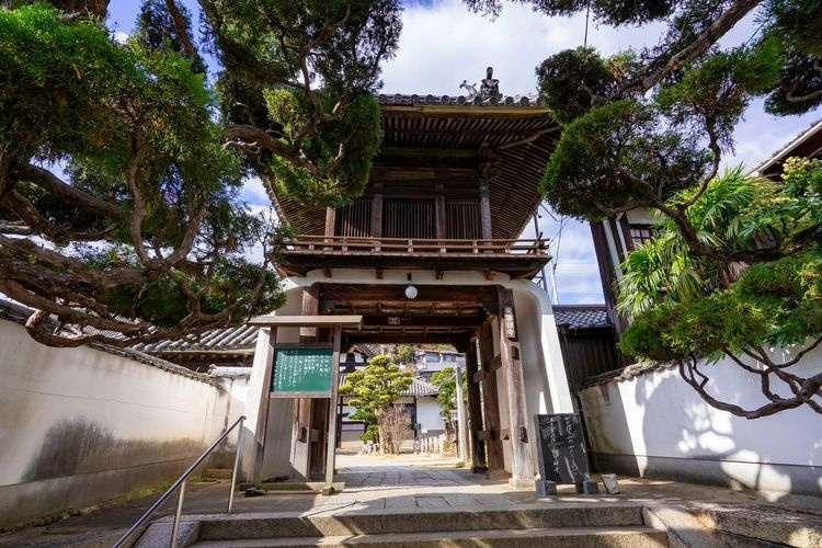 Tennei-ji Temple 3