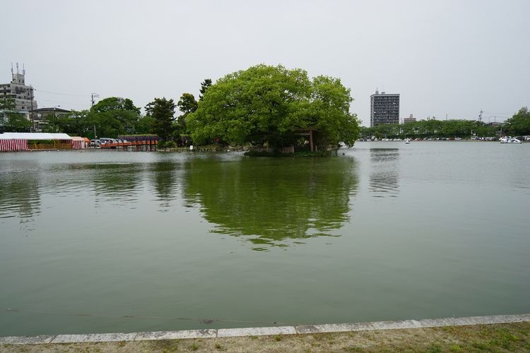 Tenno River Park 4