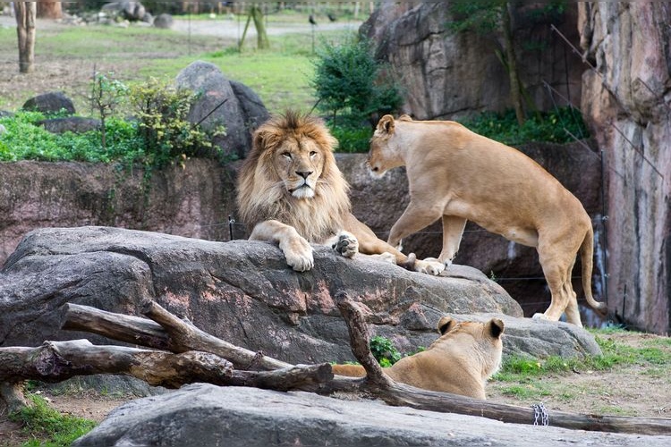 Zoo de Tennoji