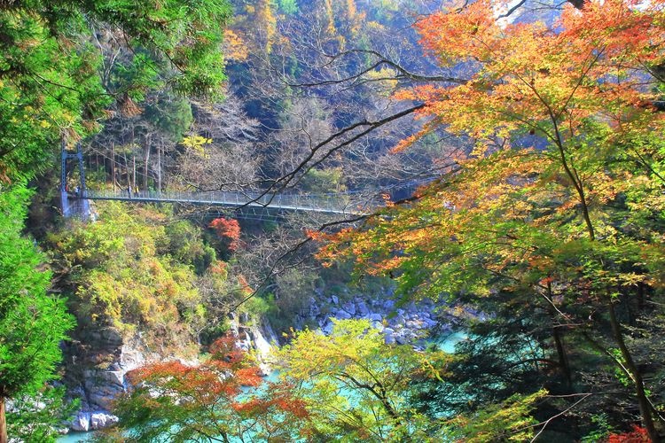 Tenryukyo Gorge