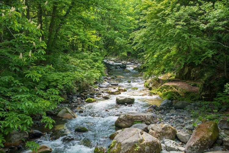 Terihakyo Gorge 3