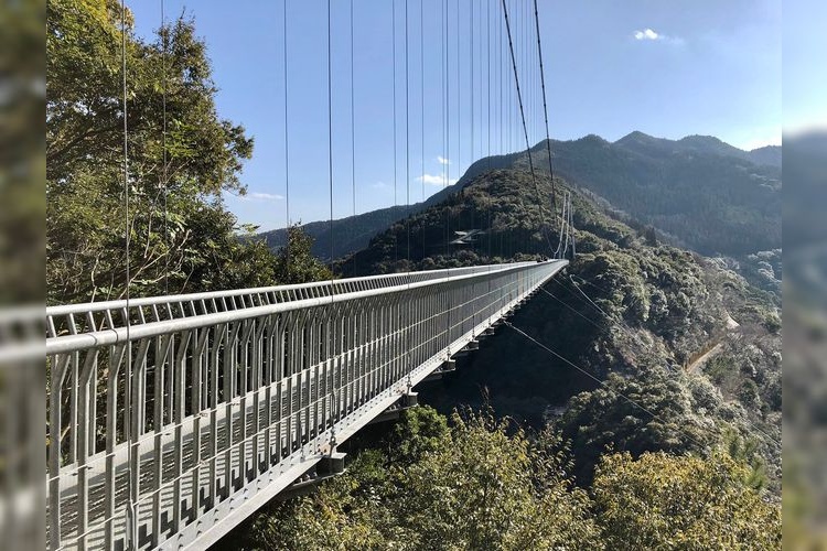 照葉大吊橋