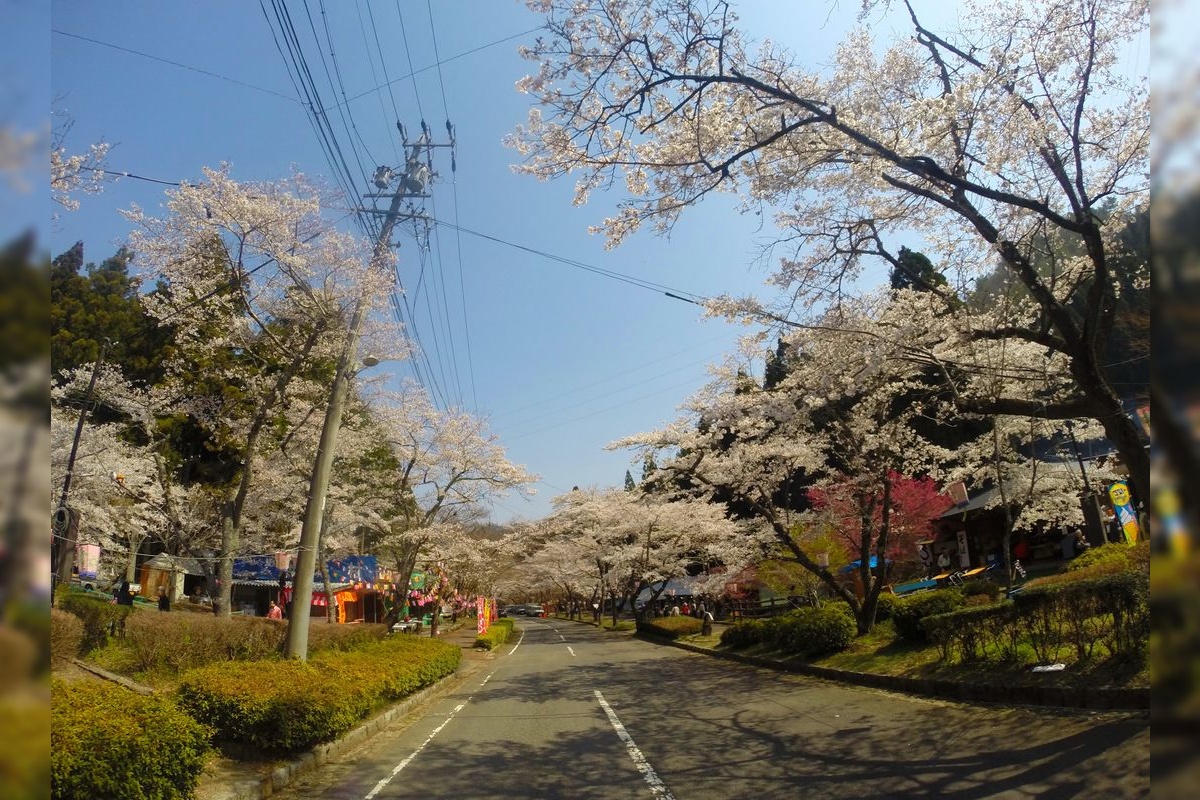 Terasogahara Senbonzakura Park
