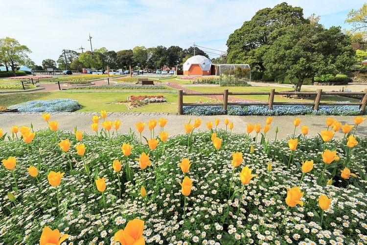 Terayama Ikoi no Hiroba