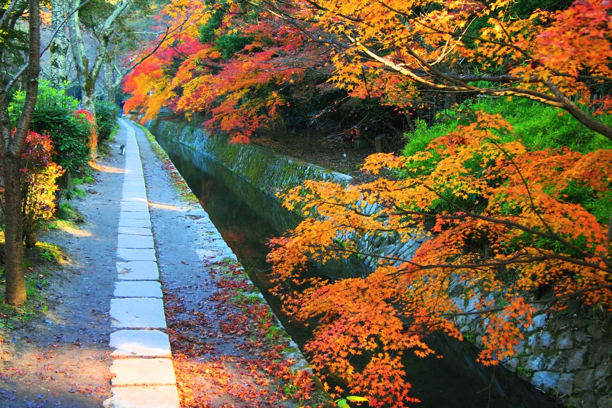 Philosopher's Path (Tetsugaku-no-michi)