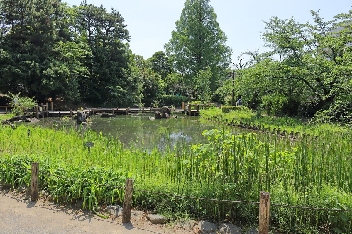 Parque Tetsugakudo