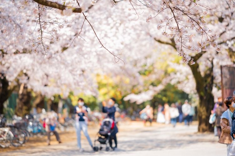 Tetsugakudo Park 2