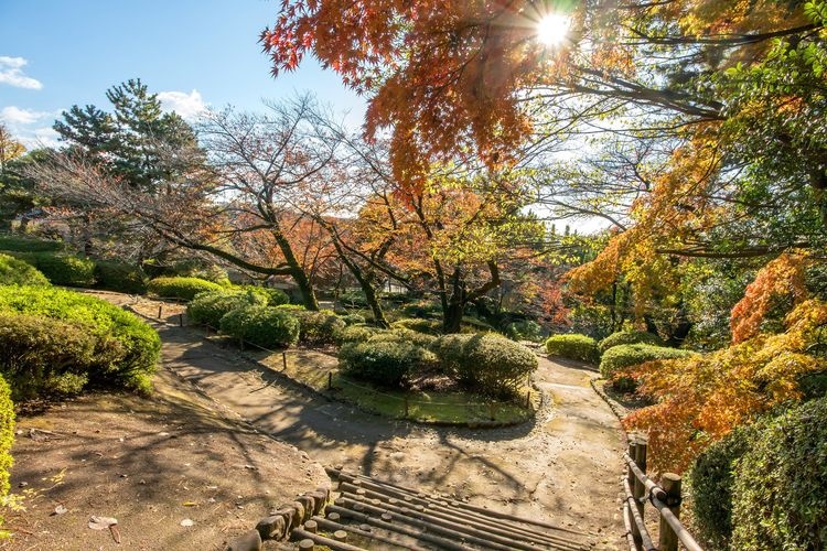 Parc Tetsudogodo 6
