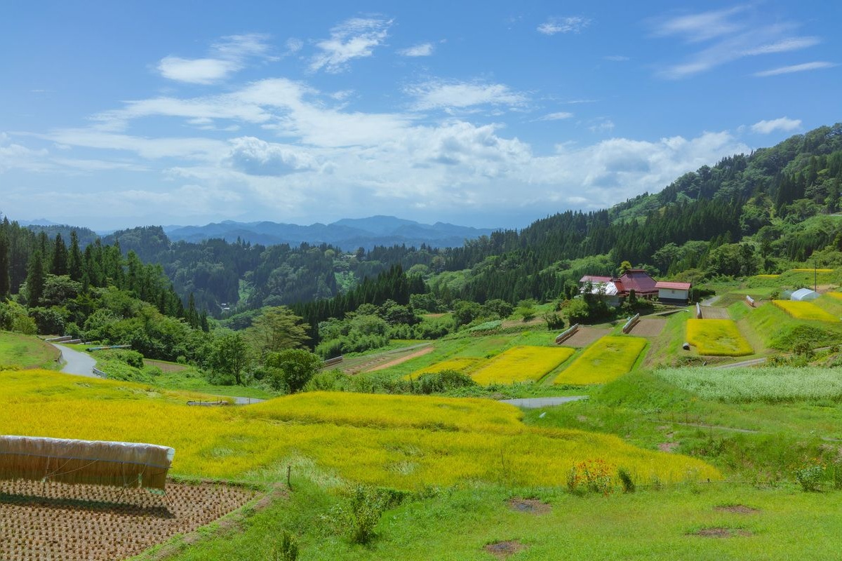 栃倉棚田