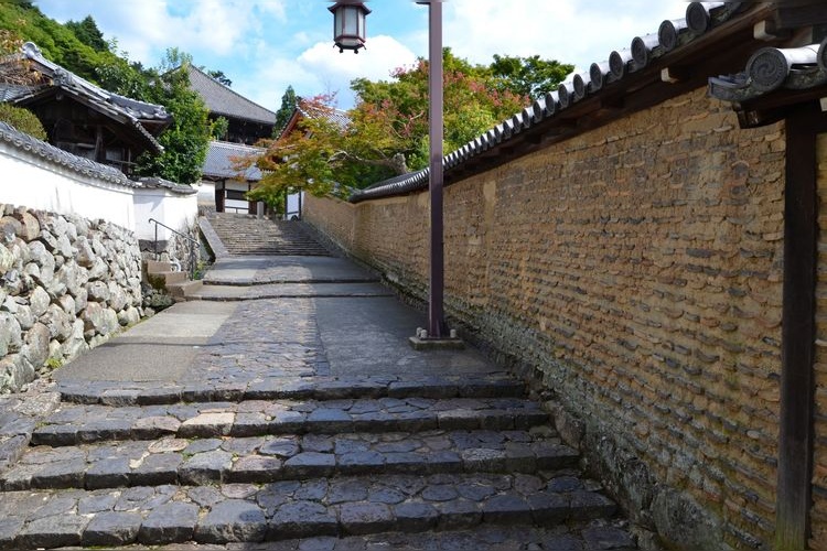 东大寺 2