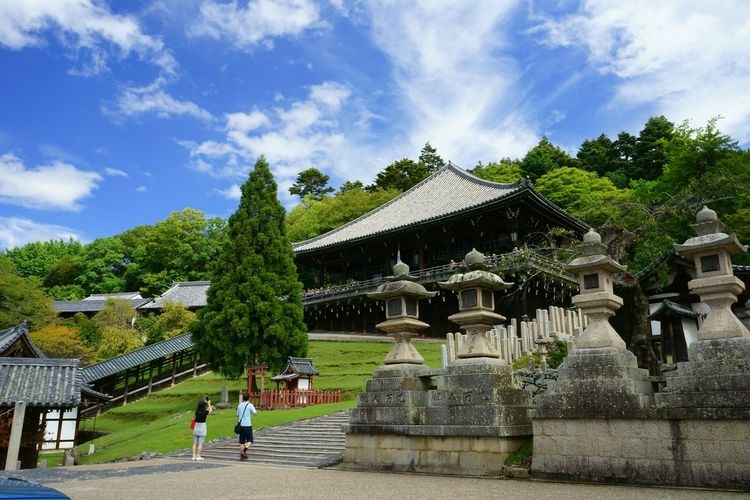 Todai-ji Temple 11