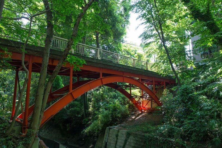 Todoroki Keikoku Park 2