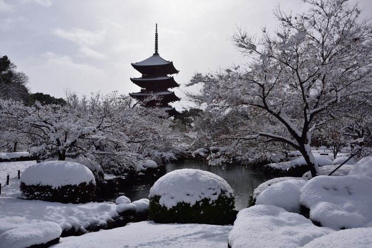 東寺 (教王護國寺)