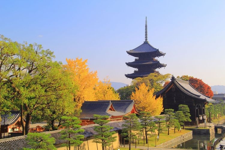 東寺 (教王護國寺) 2