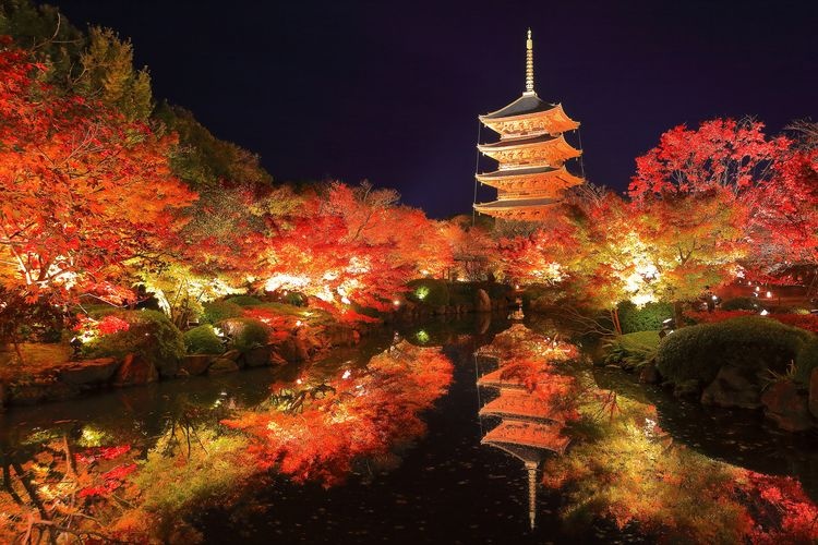 東寺 (教王護國寺) 4