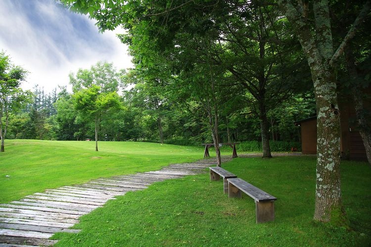 Tokachi Millennium Forest