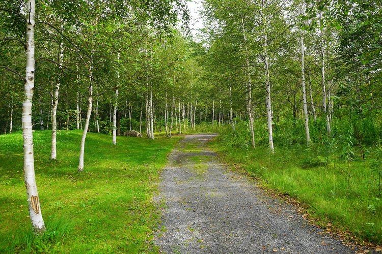 Tokachi Millennium Forest 2