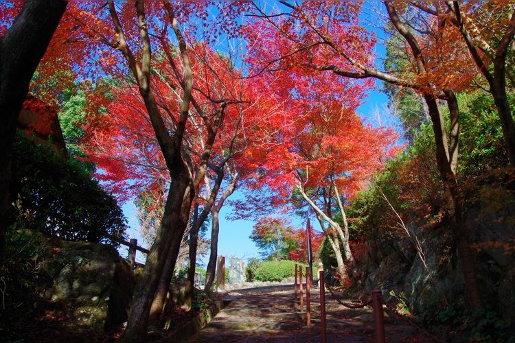 Tokaen Garden 3