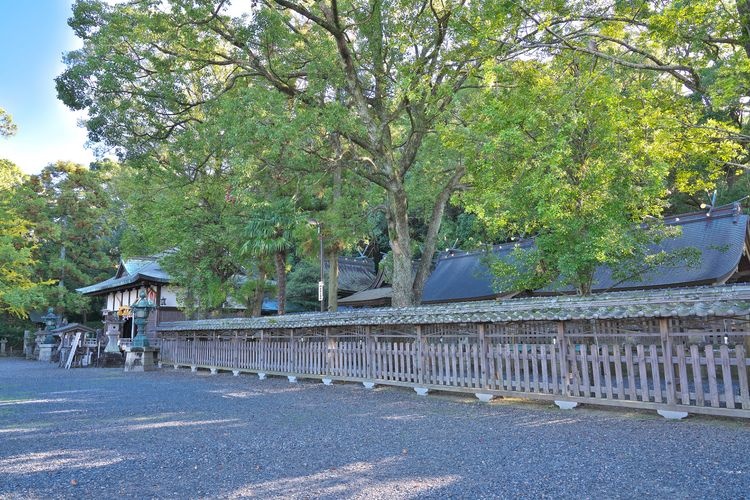 Tokei Jinja 3