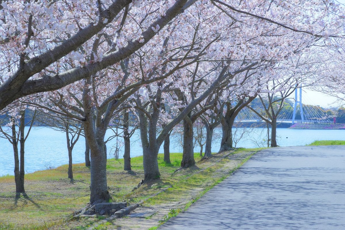 สวนโทกิวะ (Tokiwa Park)