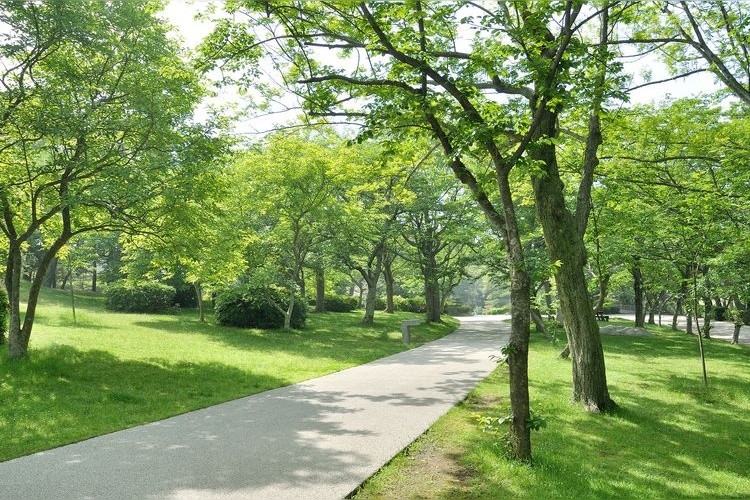 สวนโทกิวะ (Tokiwa Park) 2