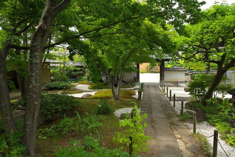 Toko-ji Temple 4