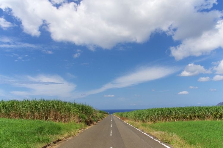 德之島