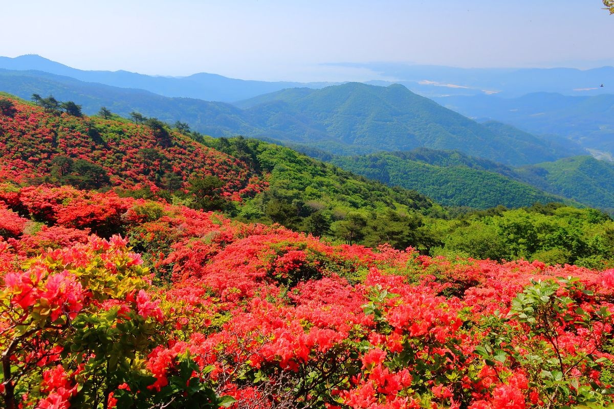 Mount Tokusenjo