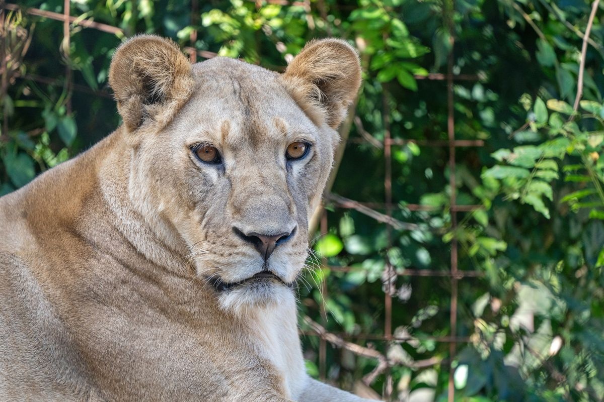 德島動物園