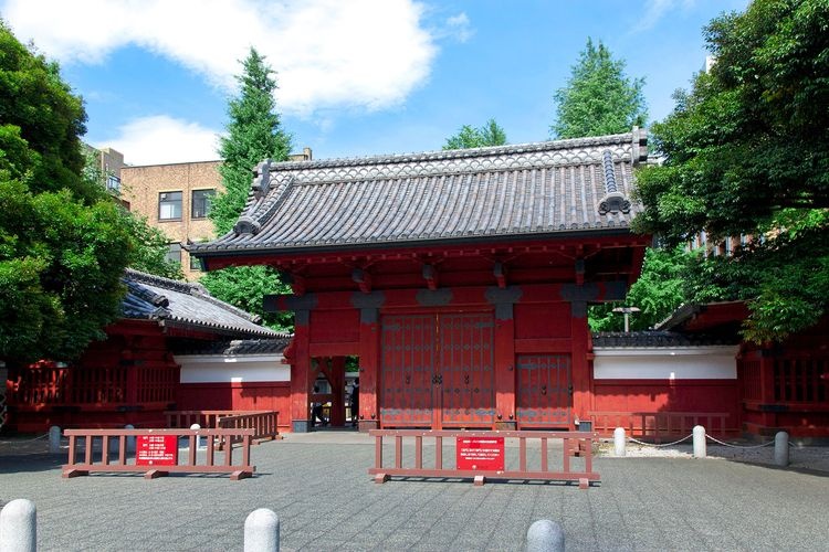 The University of Tokyo (Hongo Campus)