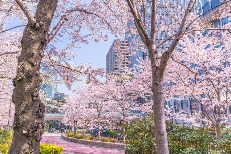 東京ミッドタウン 3