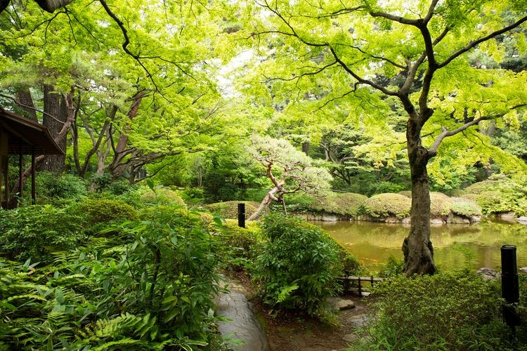 Bảo tàng Nghệ thuật Tokyo Metropolitan Teien
