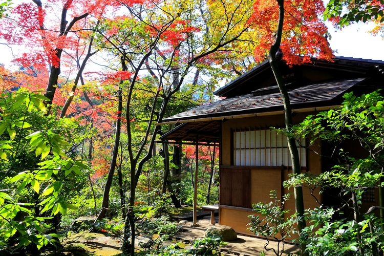 Bảo tàng Nghệ thuật Tokyo Metropolitan Teien 2