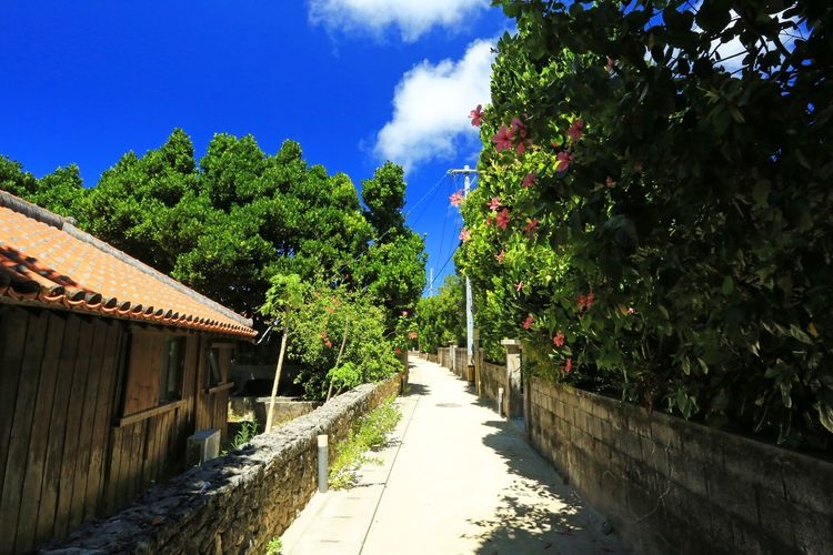Tonaki Island 3