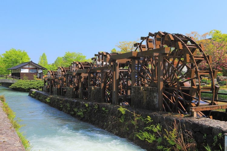 砺波チューリップ公園(チューリップ四季彩館)