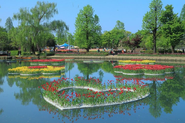 砺波チューリップ公園(チューリップ四季彩館) 2