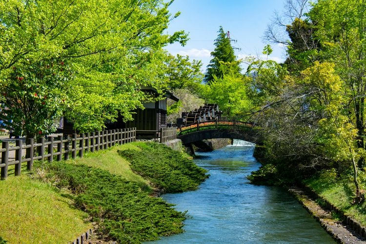 砺波チューリップ公園(チューリップ四季彩館) 4