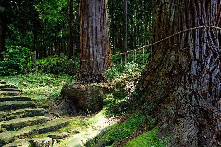 Santuario Torigoe Hachiman