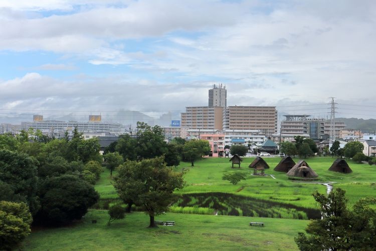 Toro Site (Shizuoka City Toro Museum) 2
