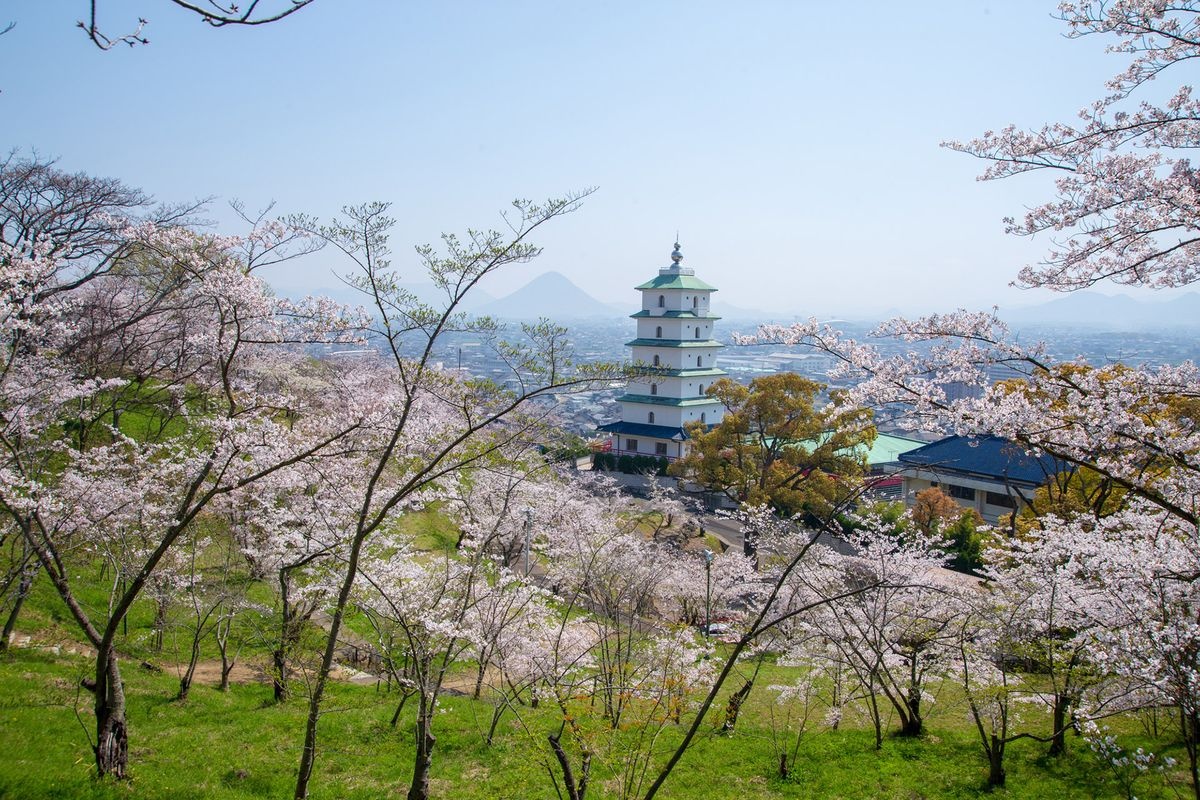 桃陵公园