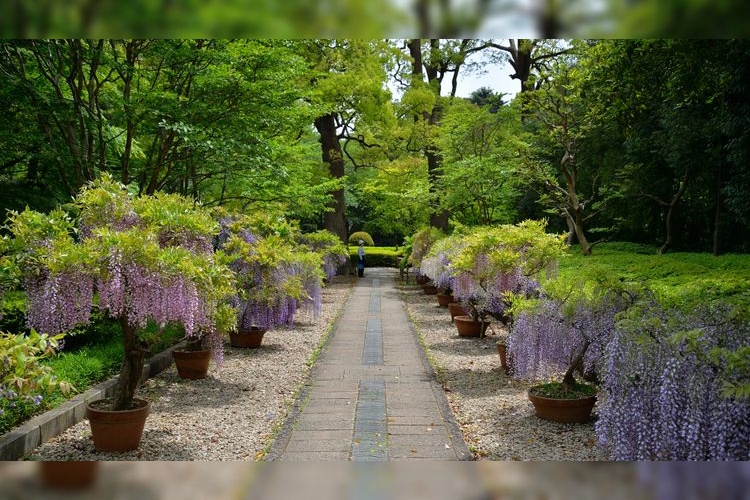 戸定丘歷史公園 3