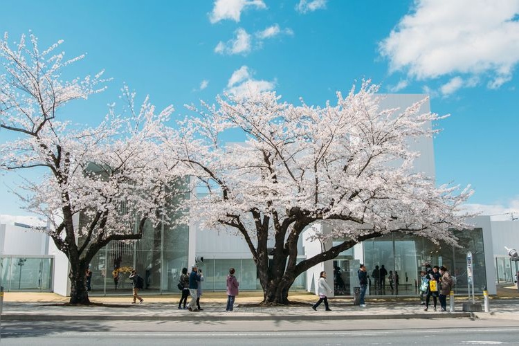 Towada Art Center 2
